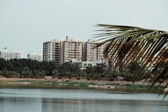 a body of water surrounded by tall buildings