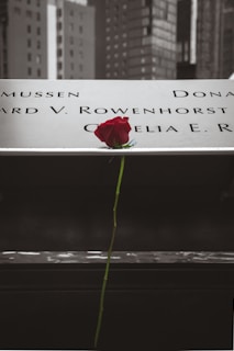 A single red rose lays on a memorial plaque with engraved names, set against a backdrop of urban buildings. The scene feels somber and respectful, with the rose acting as a symbol of remembrance.