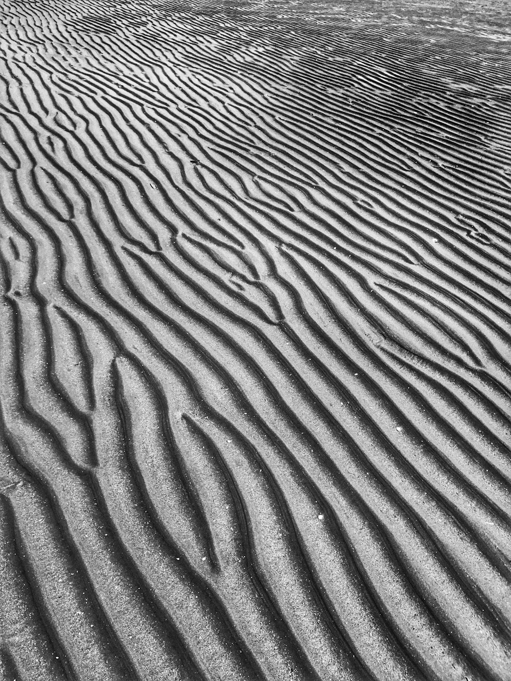 Une photo en noir et blanc d’une dune de sable