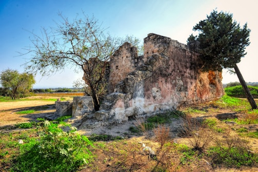 A serene ancient ruin surrounded by lush greenery under a clear blue sky