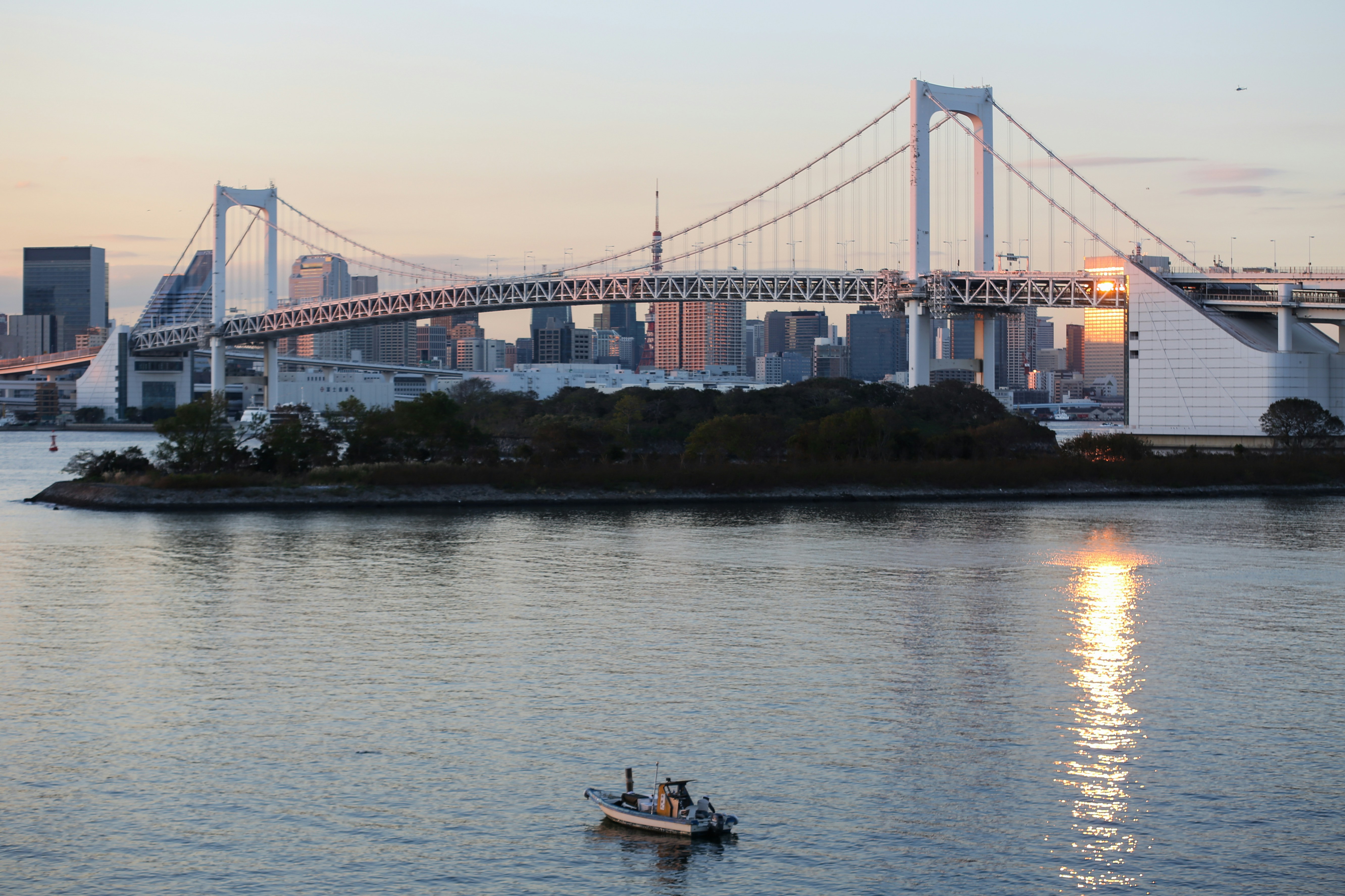 Miyake-jima, Tokyo, Japan photo