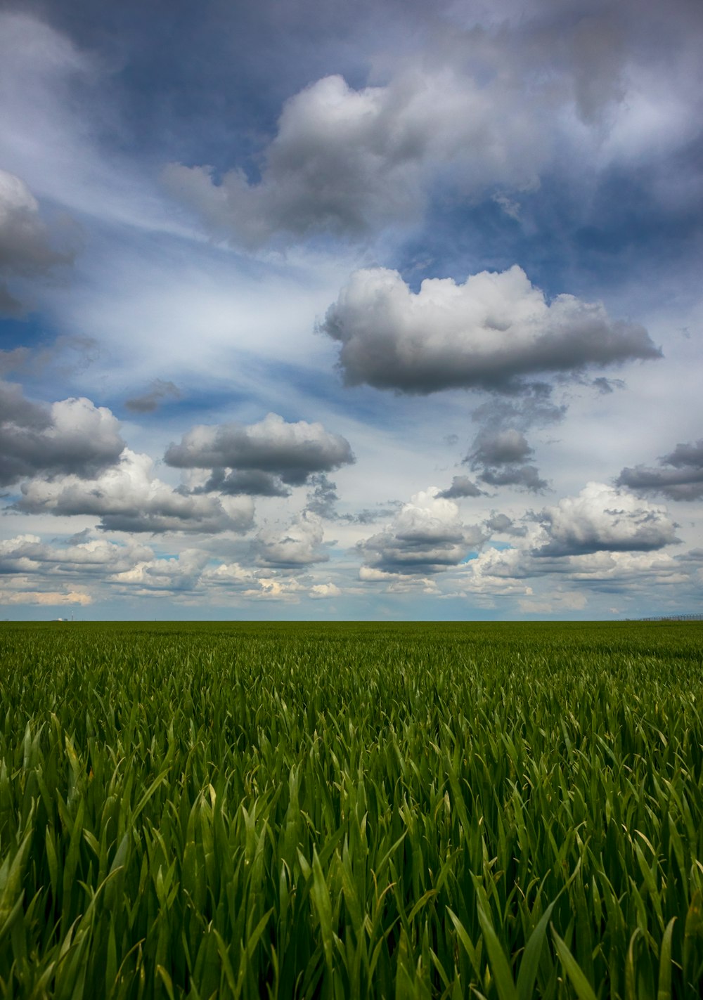 a field of green grass under a cloudy sky