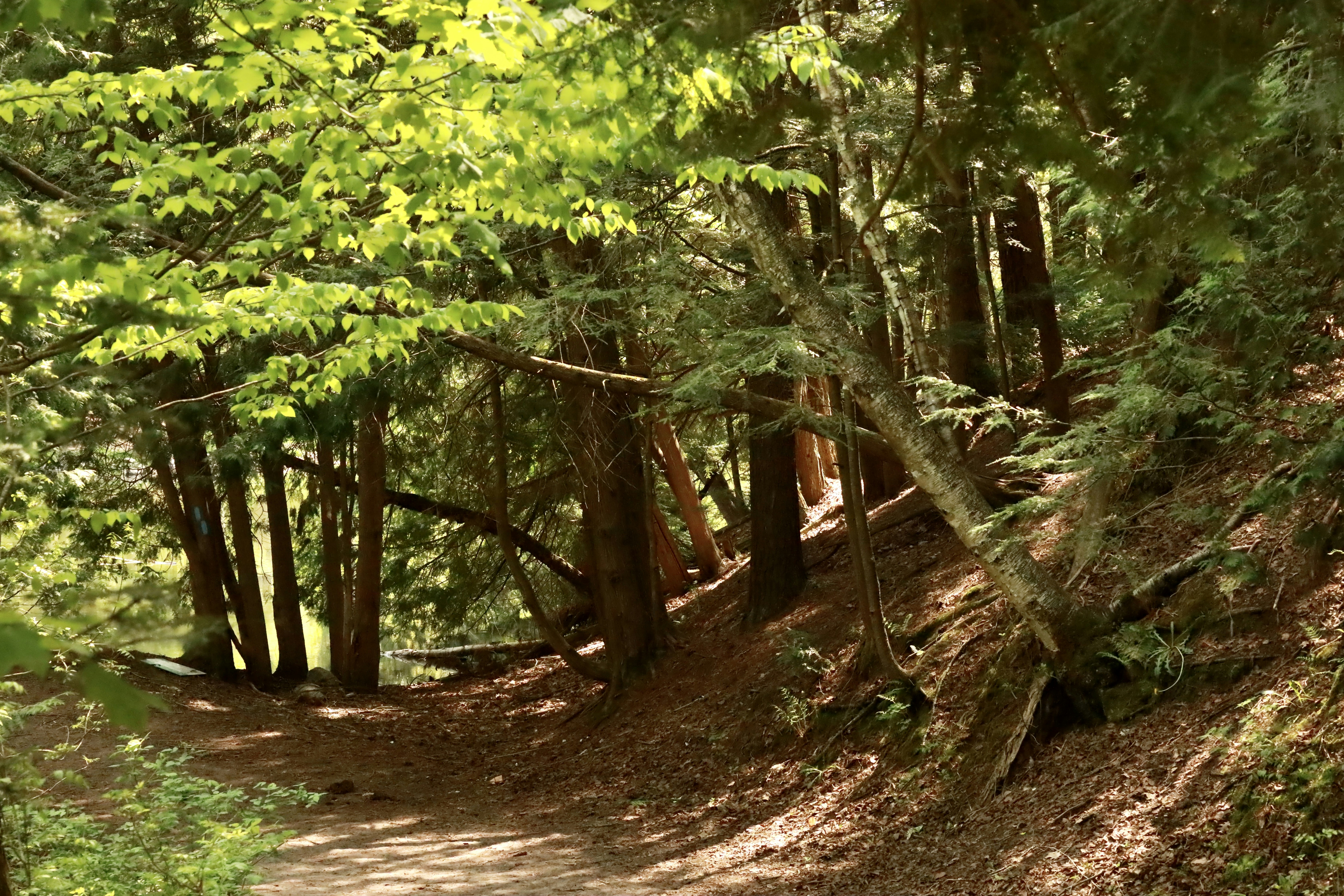 Photo by richardworks