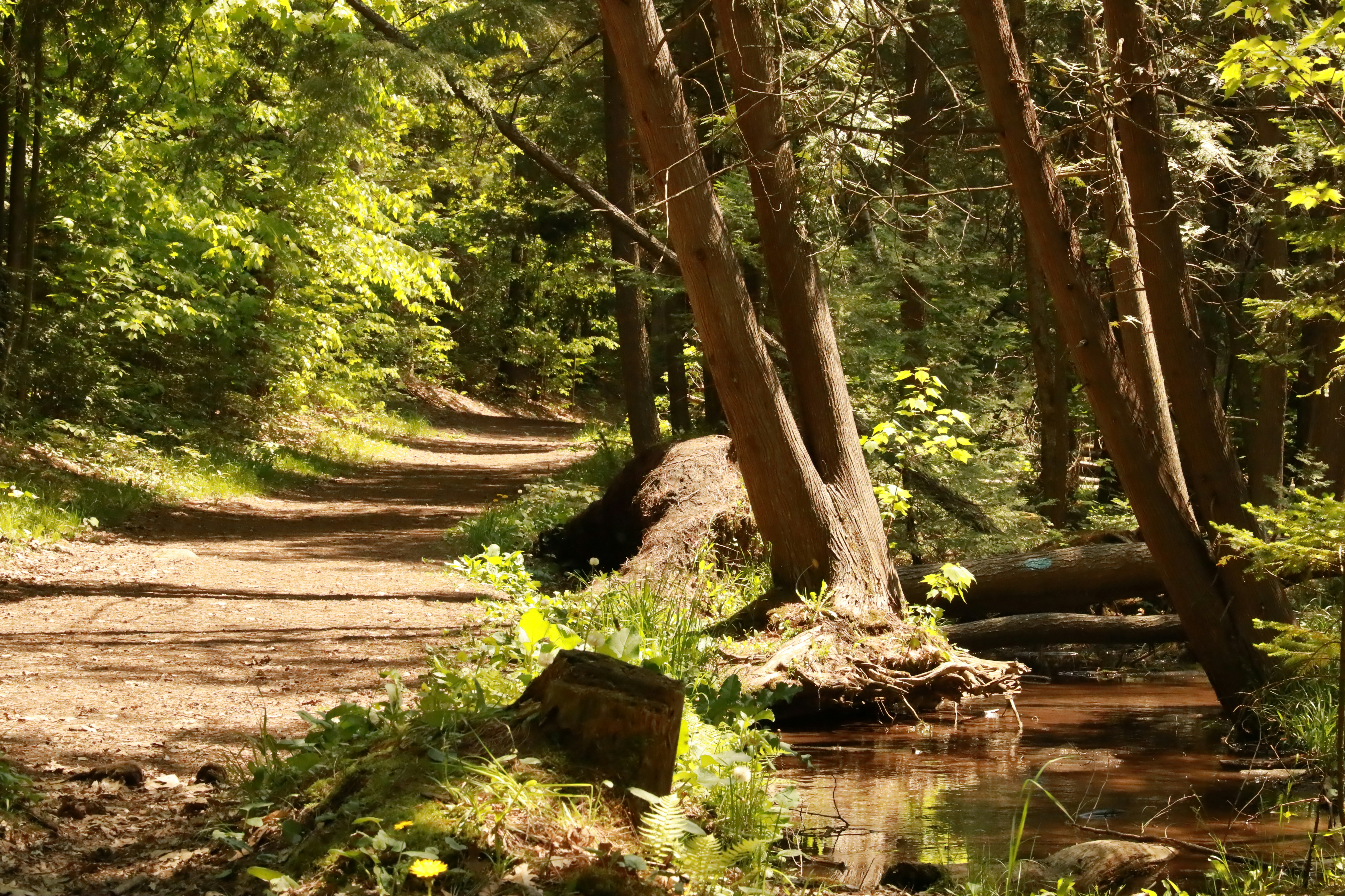 Photo by richardworks