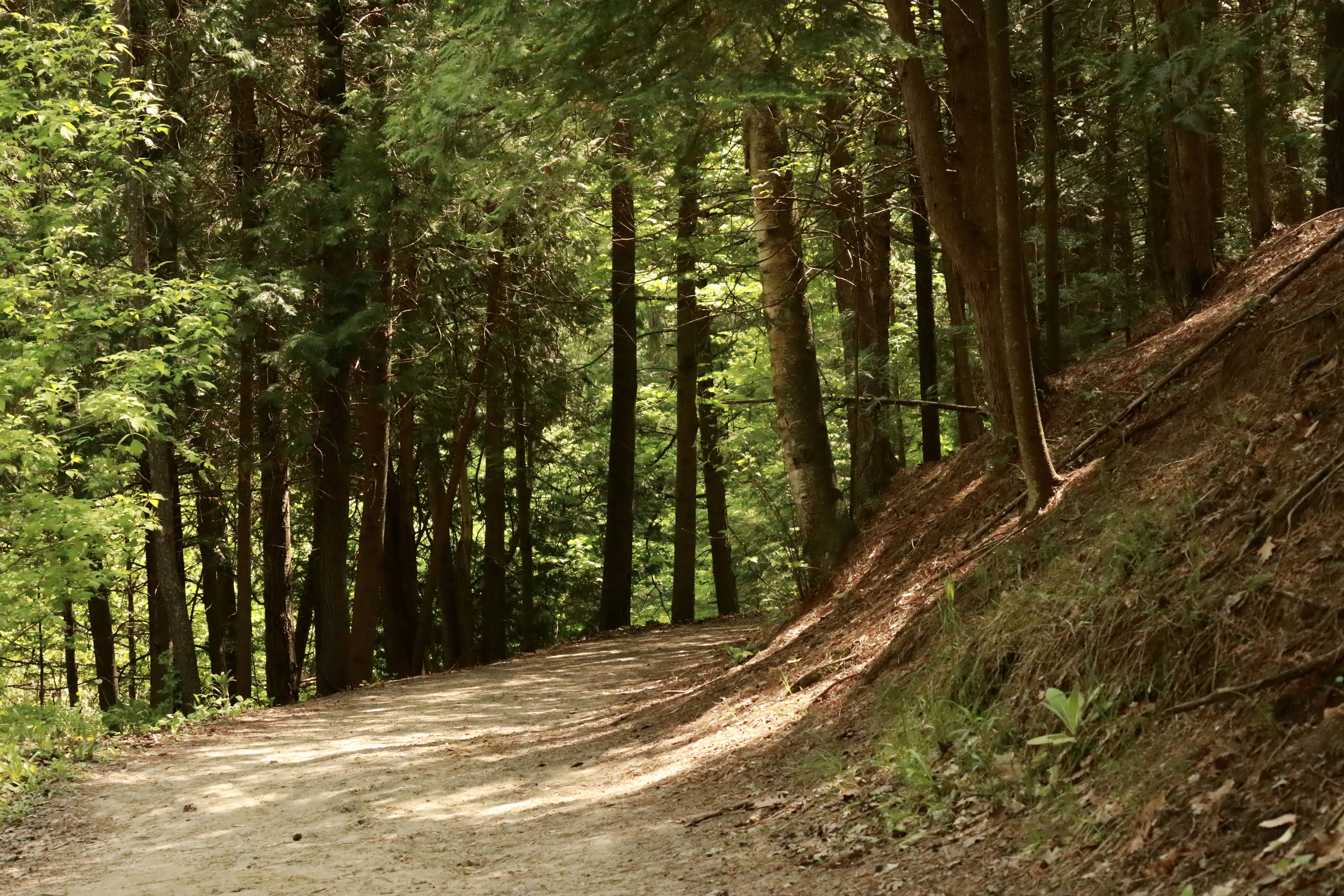 Photo by richardworks