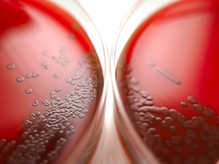 Data charts displaying growth rates of cells in various media formulations