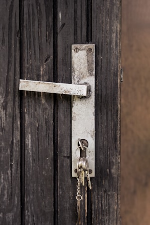 a door with a bunch of keys in it