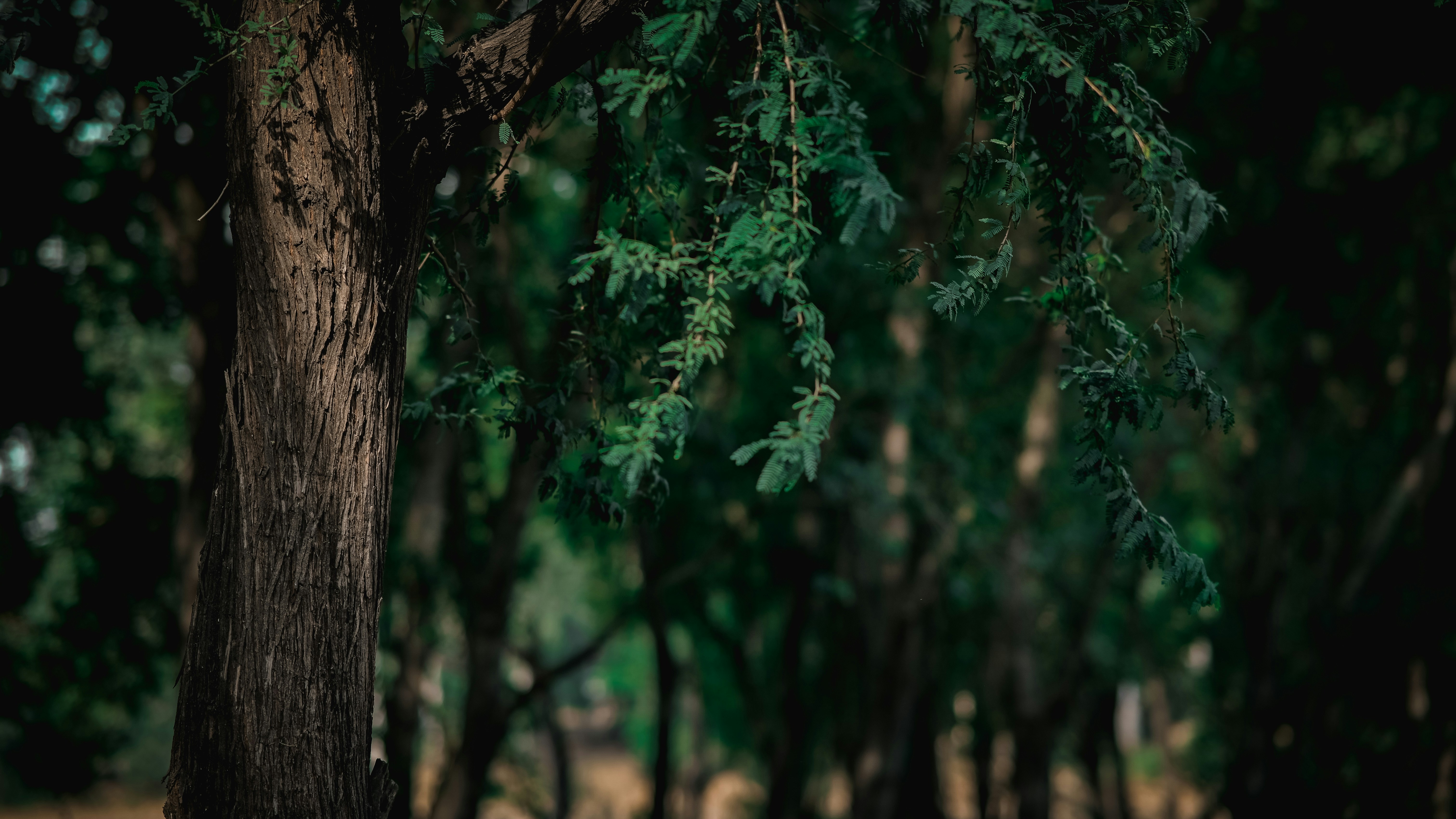 Photo by amarpoems08