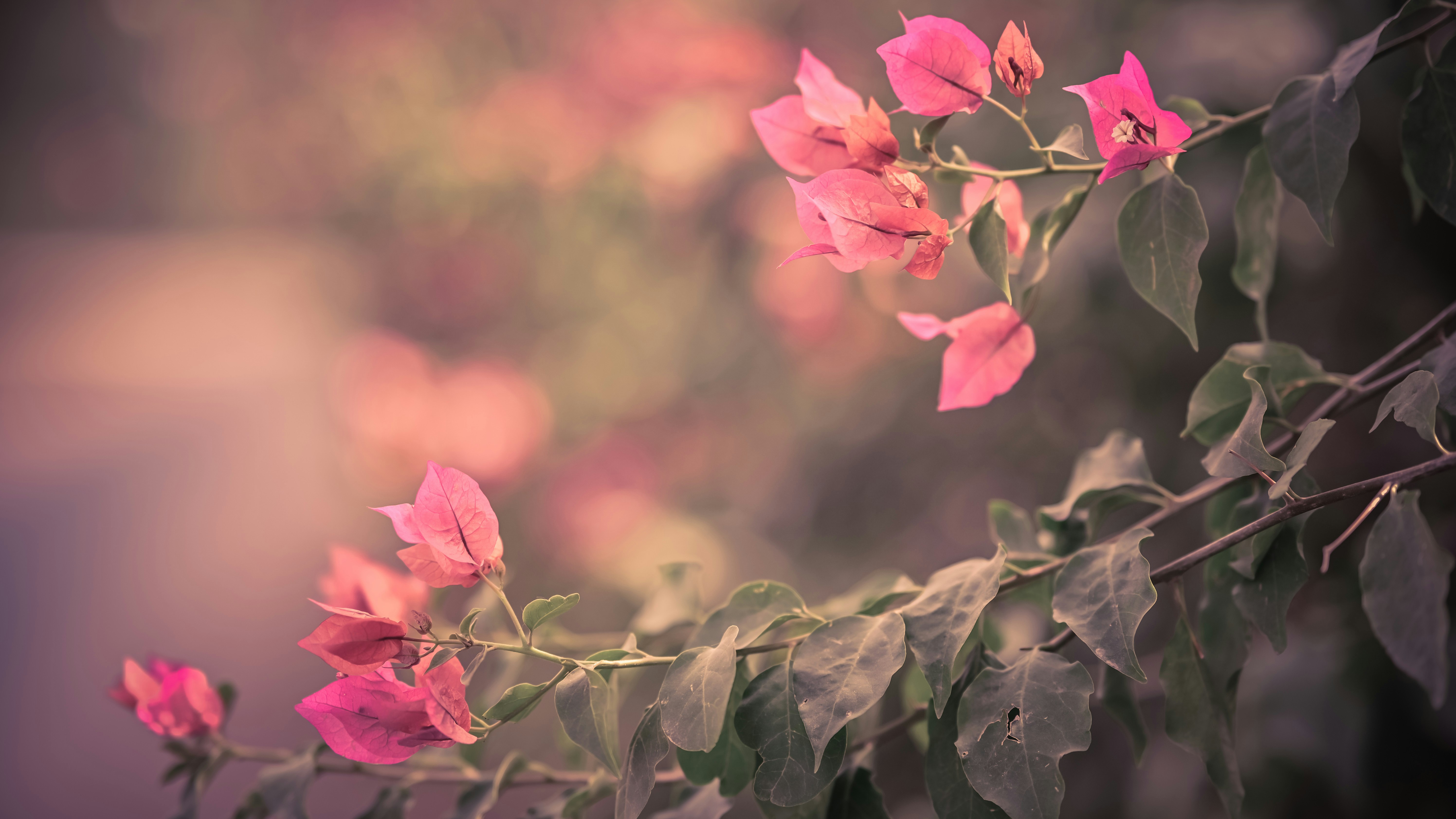 Photo by amarpoems08