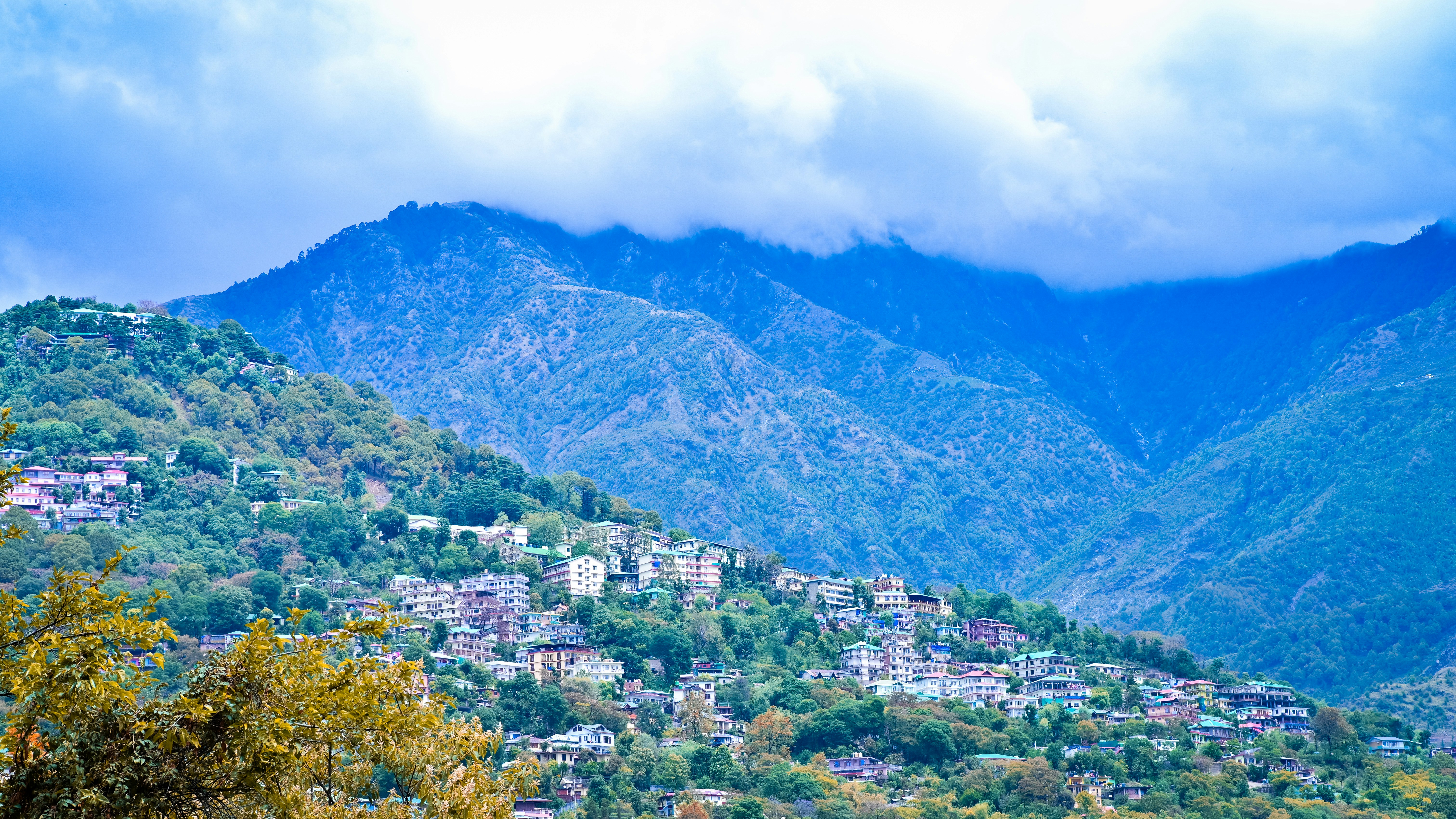 Photo by amarpoems08