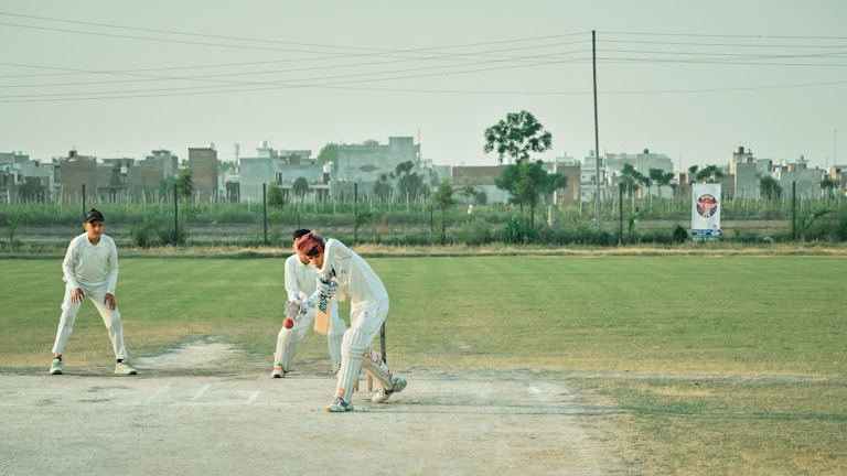 Players celebrating a wicket on the field.