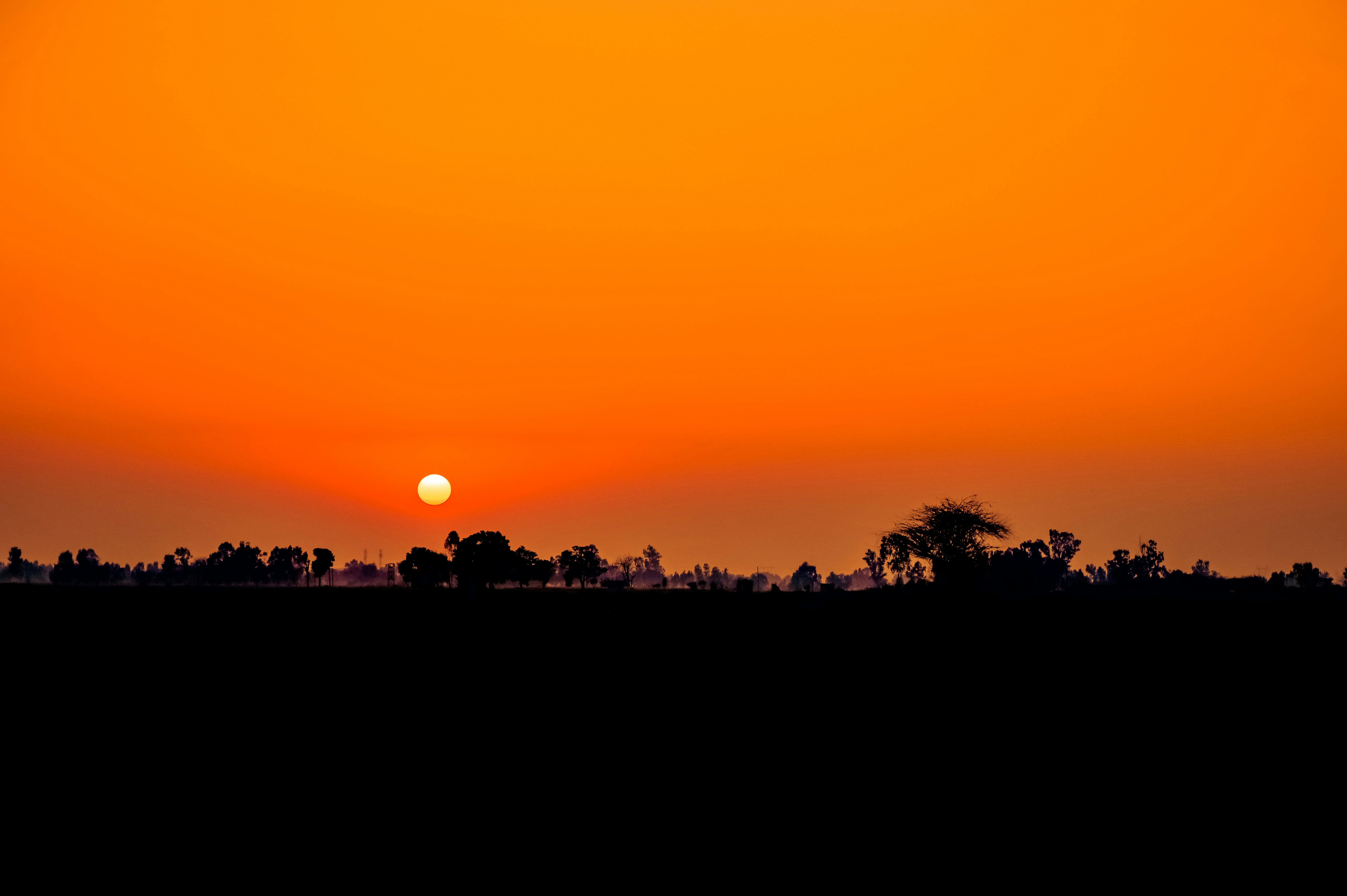 Photo by amarpoems08