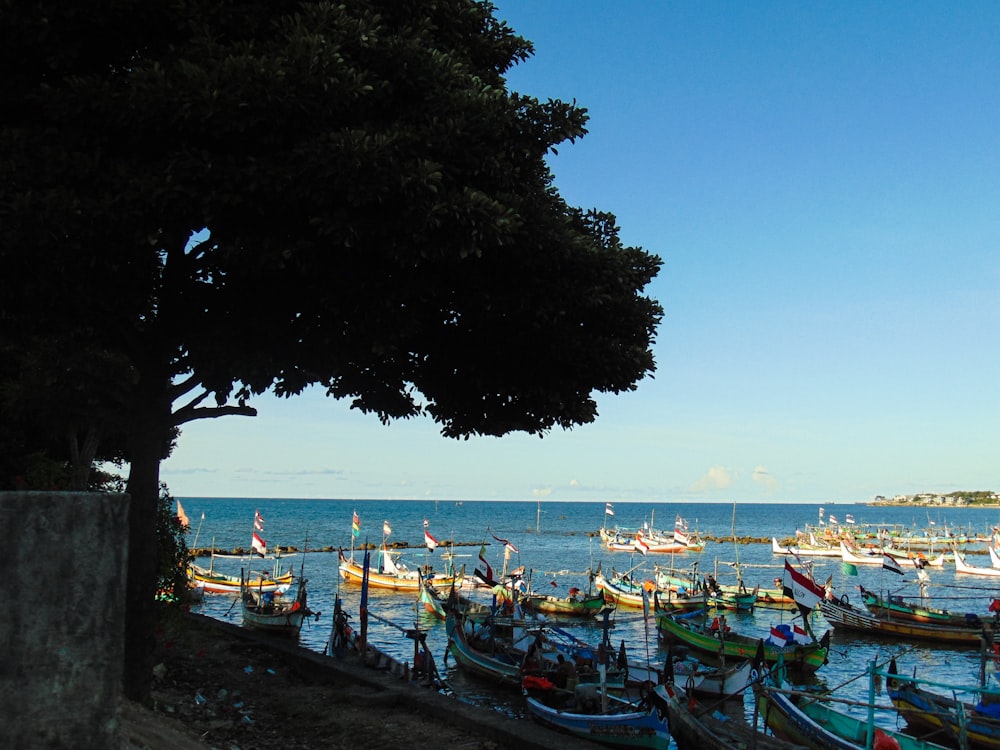 a bunch of boats that are sitting in the water