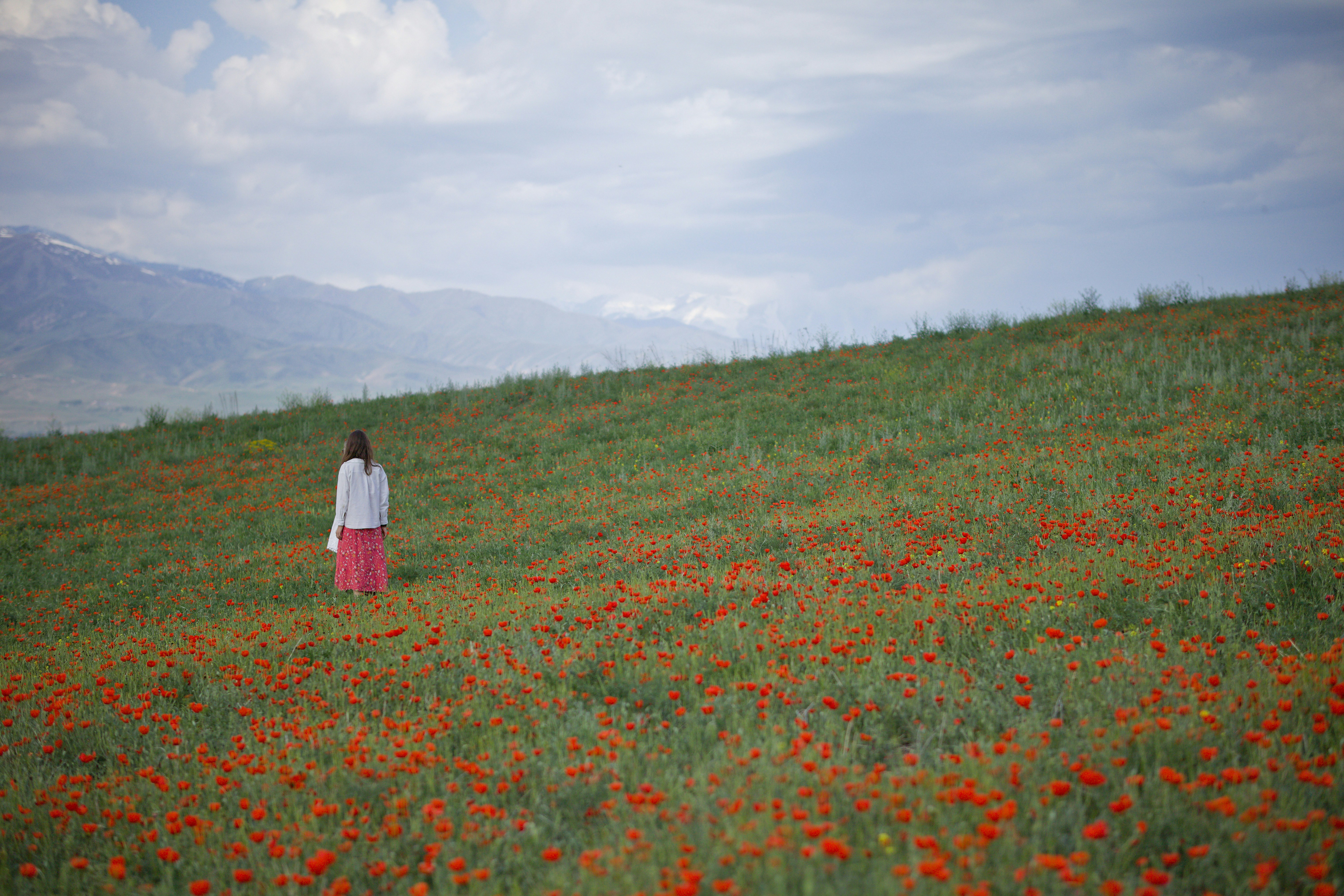 a woman standing in a field of flowers