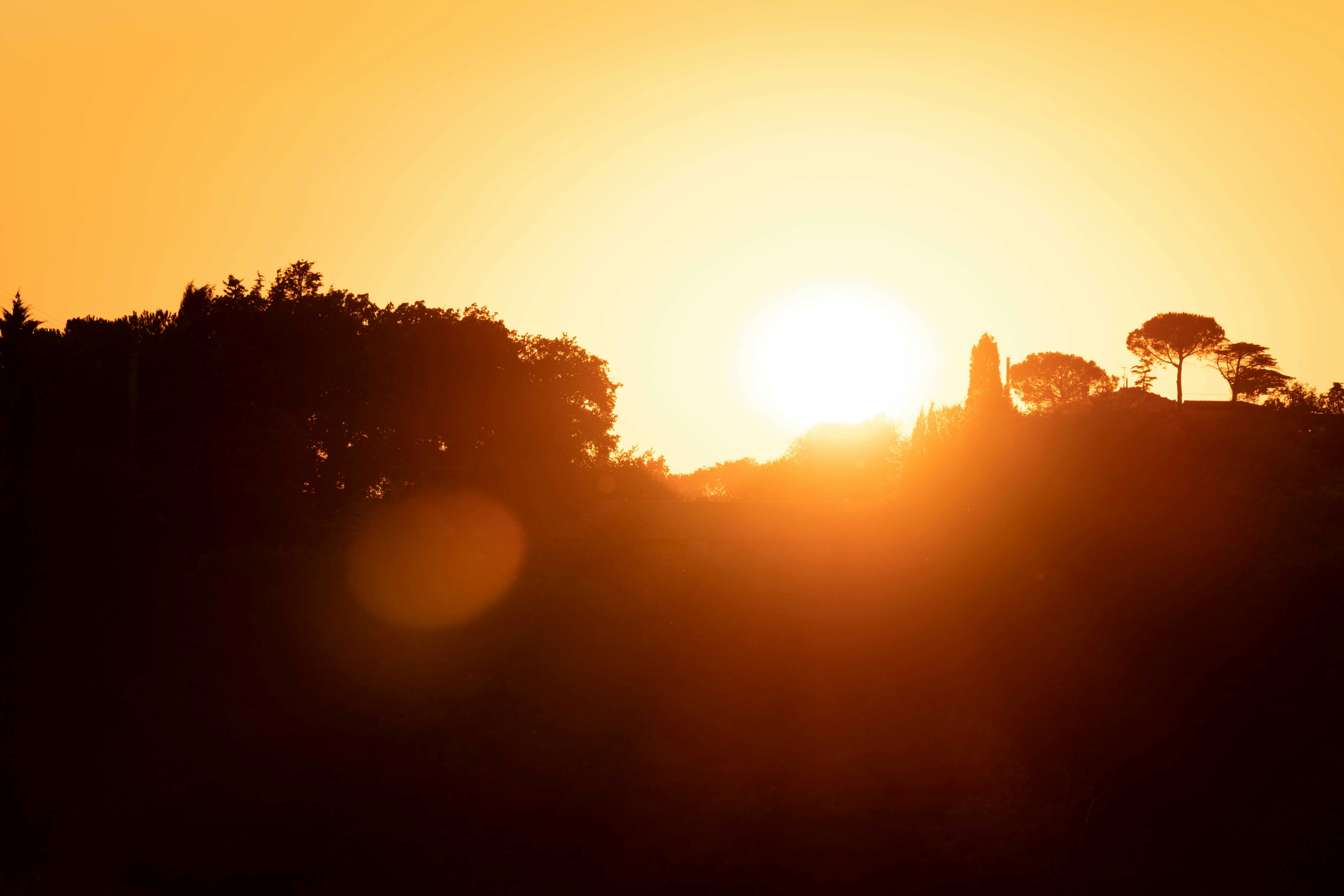 Photo by francesco_ungaro