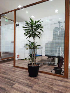 Commercial office lobby decorated with lush, maintenance-free green plants.