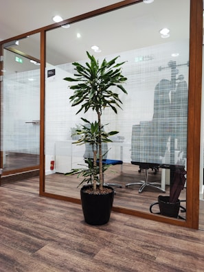 Elegant indoor plant display in a modern office space with dark wood and green accents.