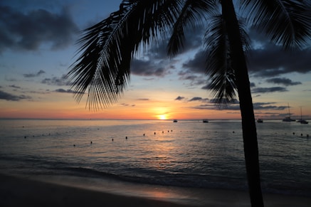 the sun is setting over the ocean with boats in the water
