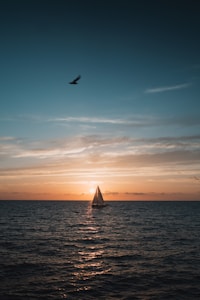 Charter por día