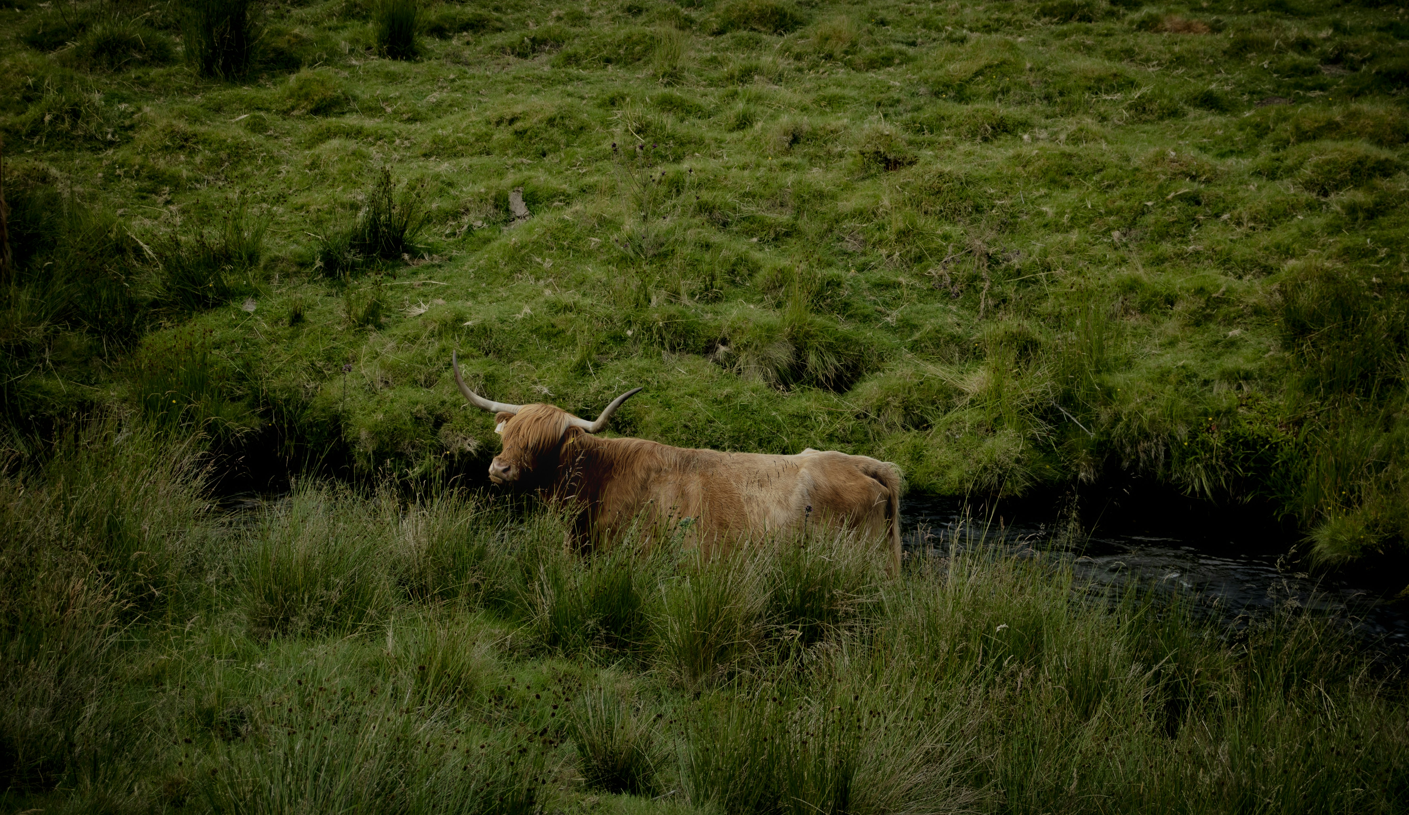 Photo by claudiedevin