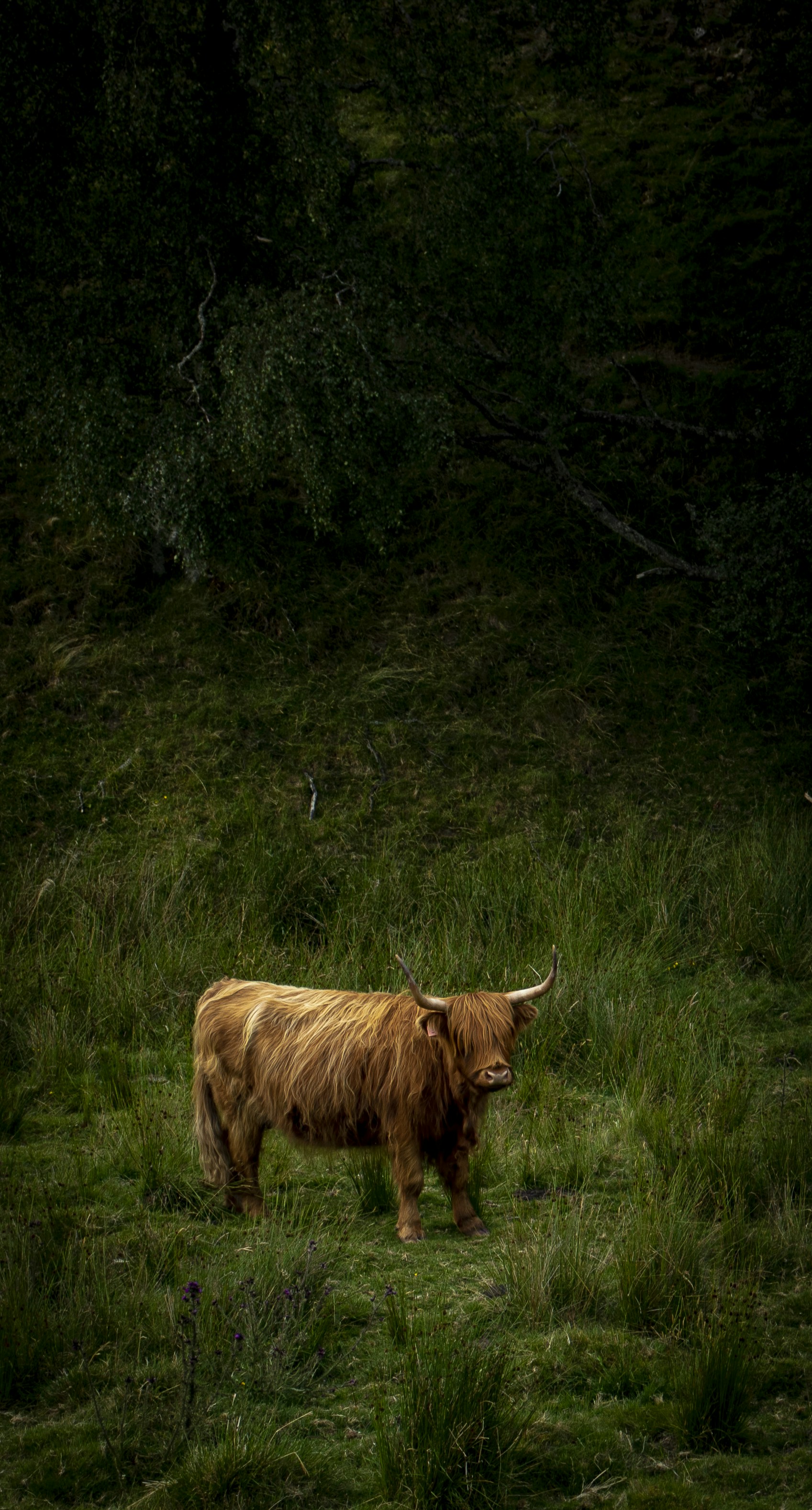 Photo by claudiedevin