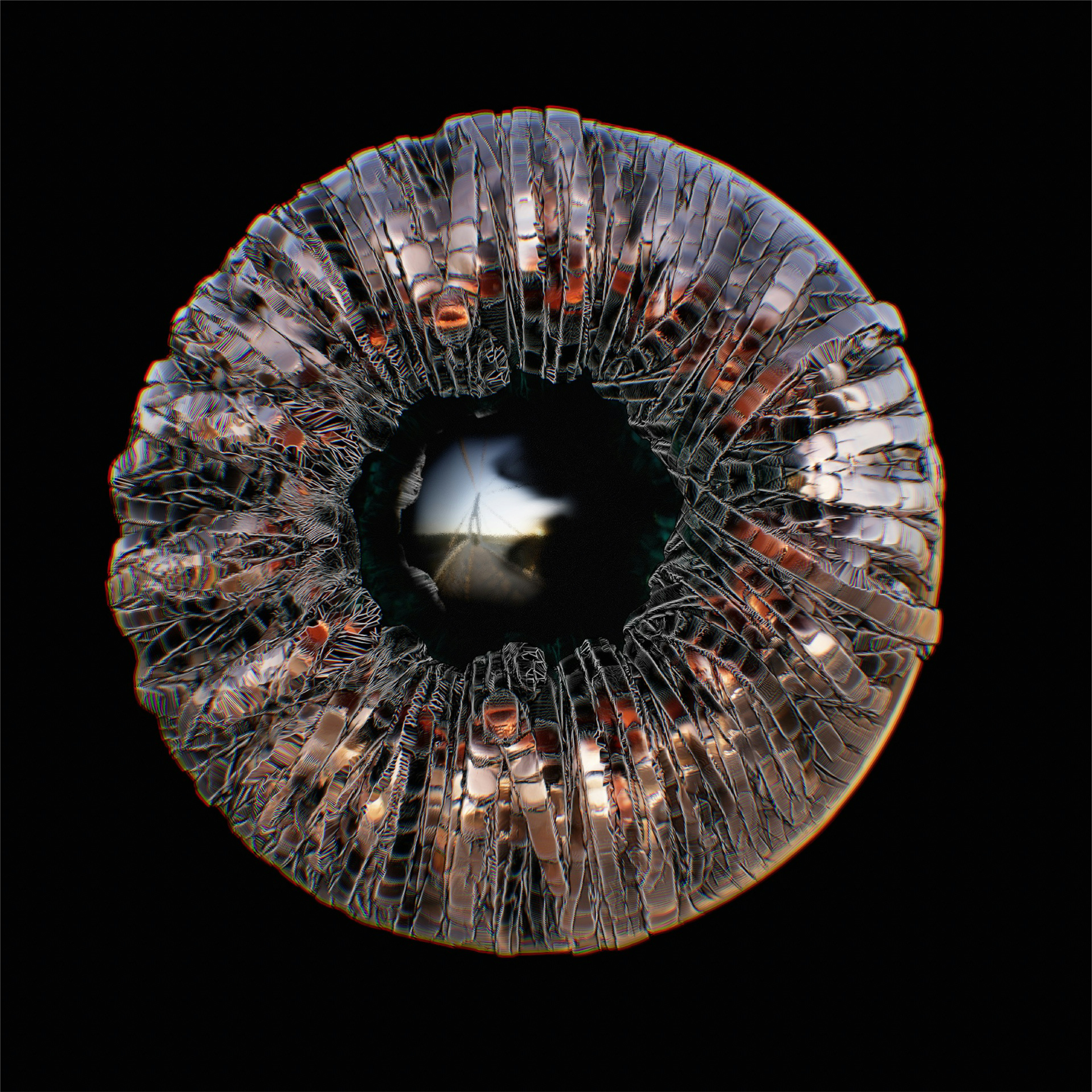 a close up view of a jellyfish's eye