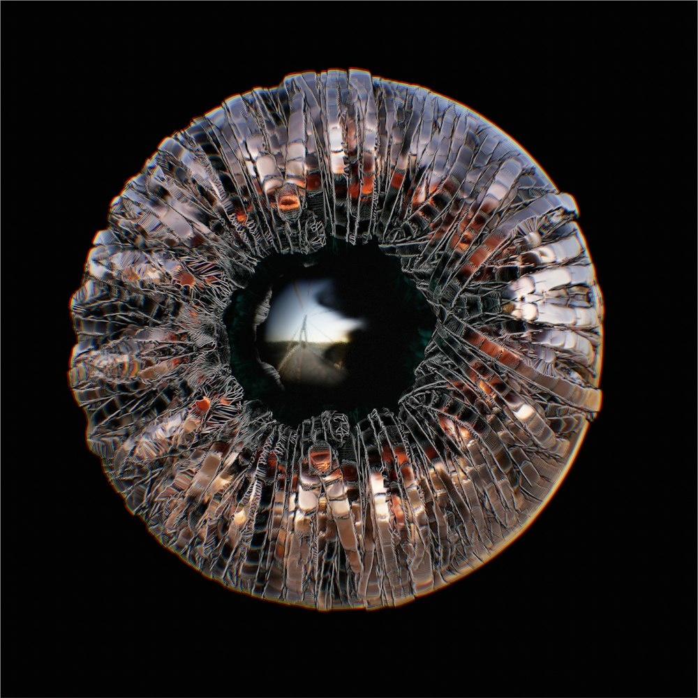 a close up view of a jellyfish's eye