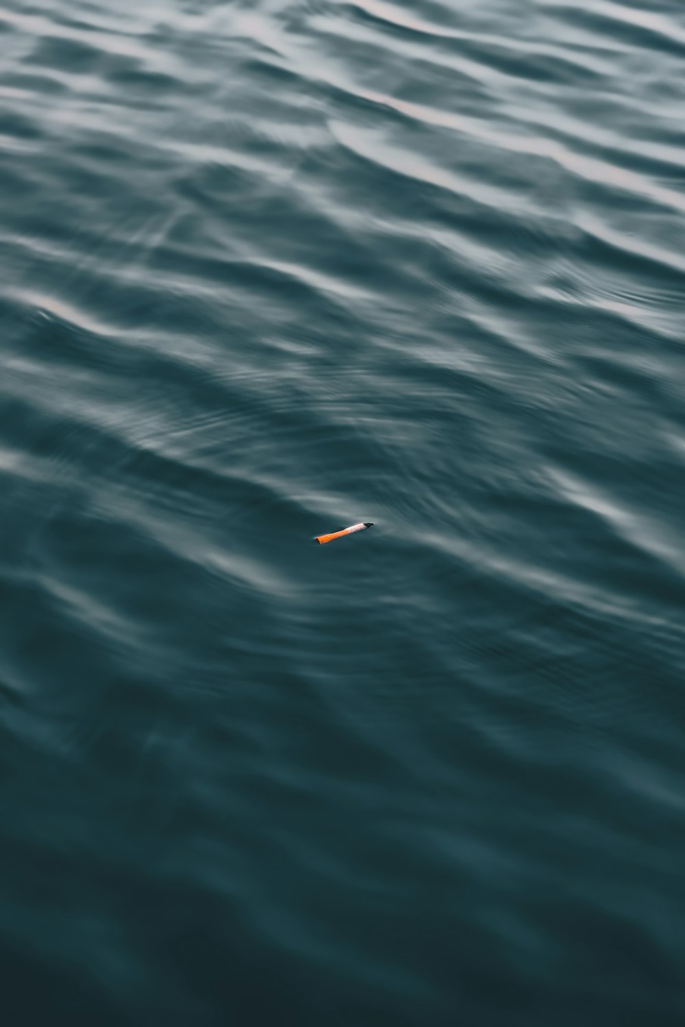 Un pequeño objeto naranja flotando sobre un cuerpo de agua