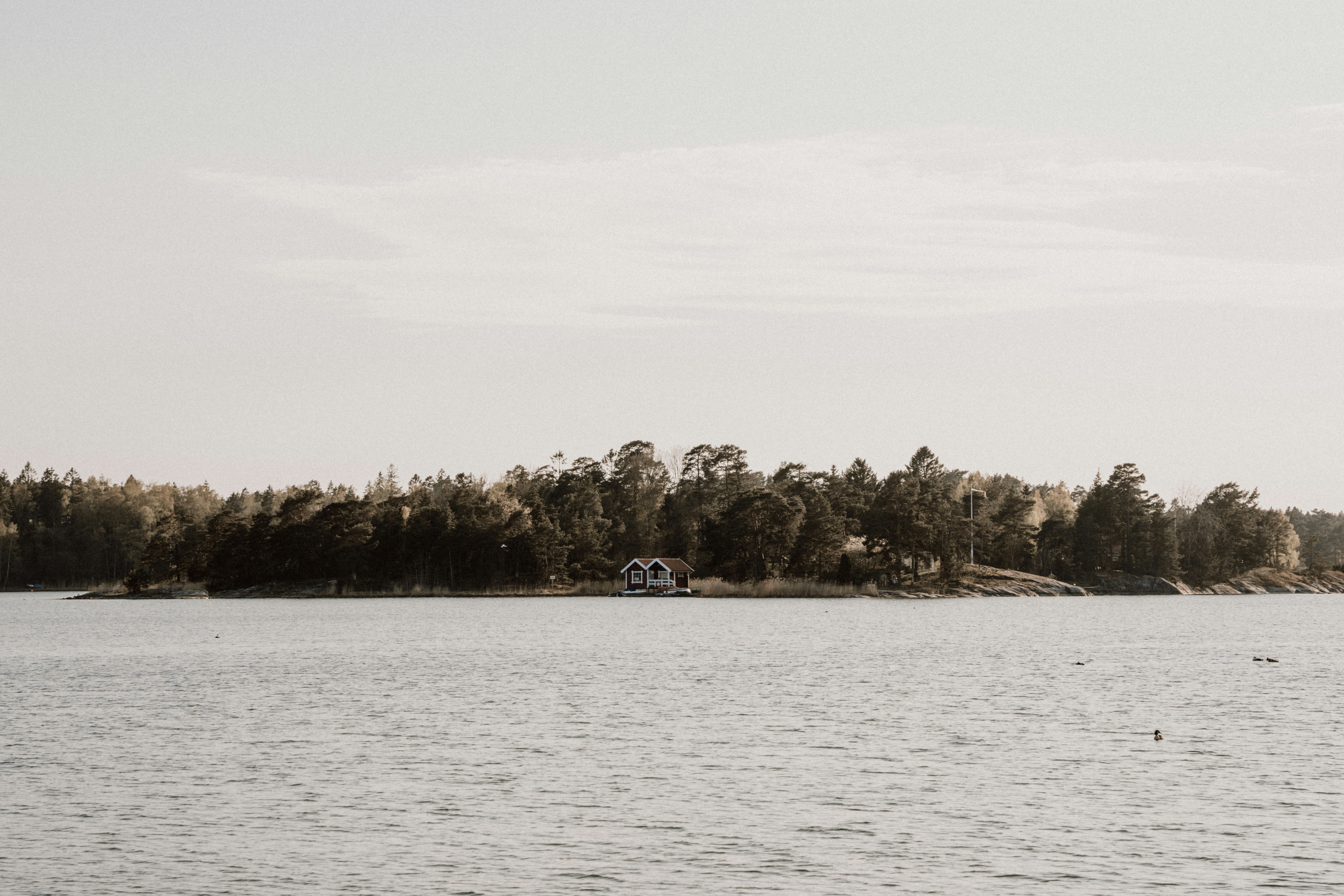 Photo by masoodaslami