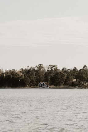 A small, red cabin is situated by the lakeside, surrounded by a dense forest of tall trees. The water is calm and expansive, and the sky is overcast with soft clouds.