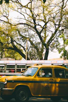 Evening lights reflecting off a clean taxi waiting under a leafy tree, perfect for comfortable travel.