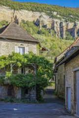 A picturesque stone house covered in lush green vines sits on a narrow street, with a rugged cliff face and dense forest in the background under a clear blue sky.