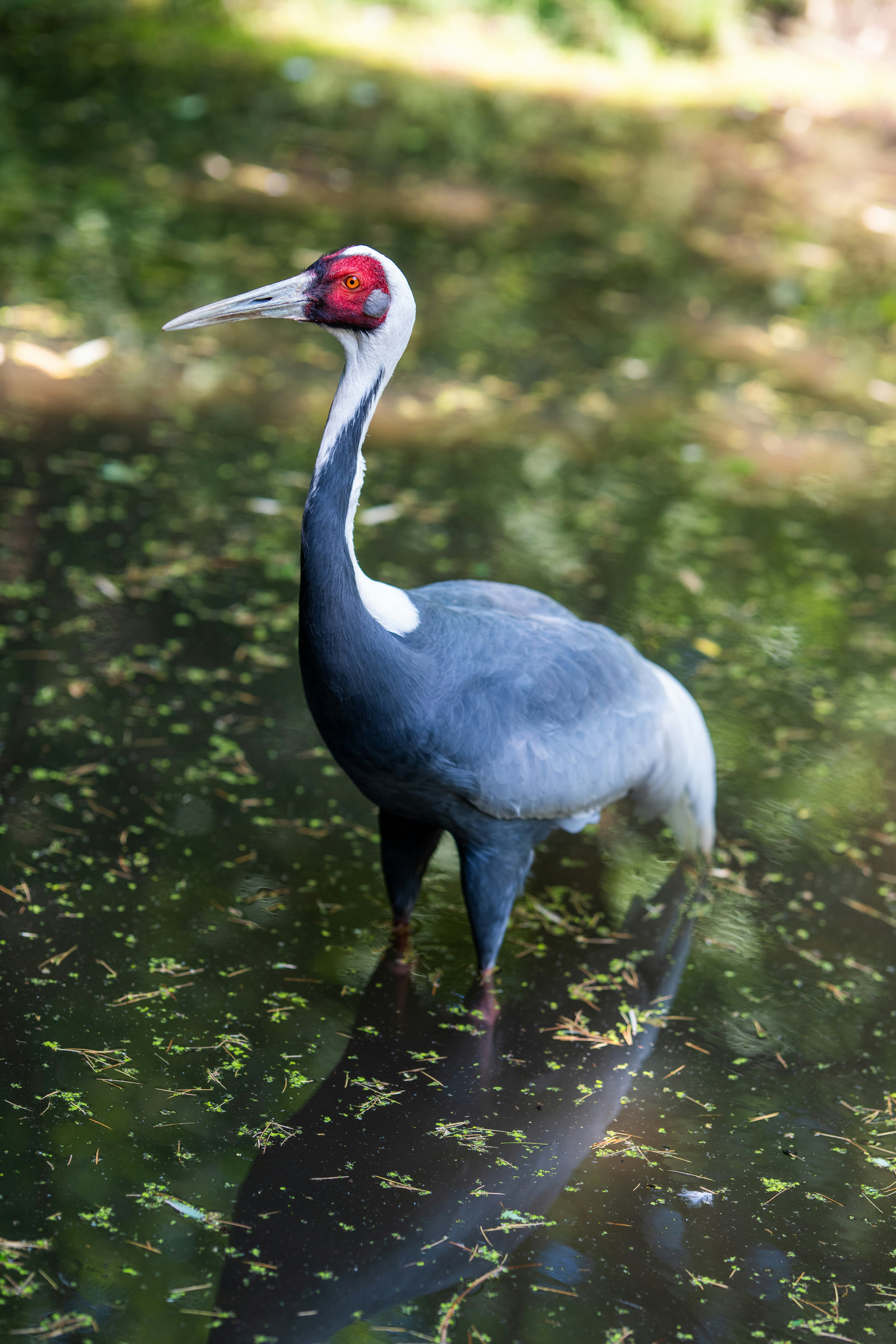 Photo by braedon_photography