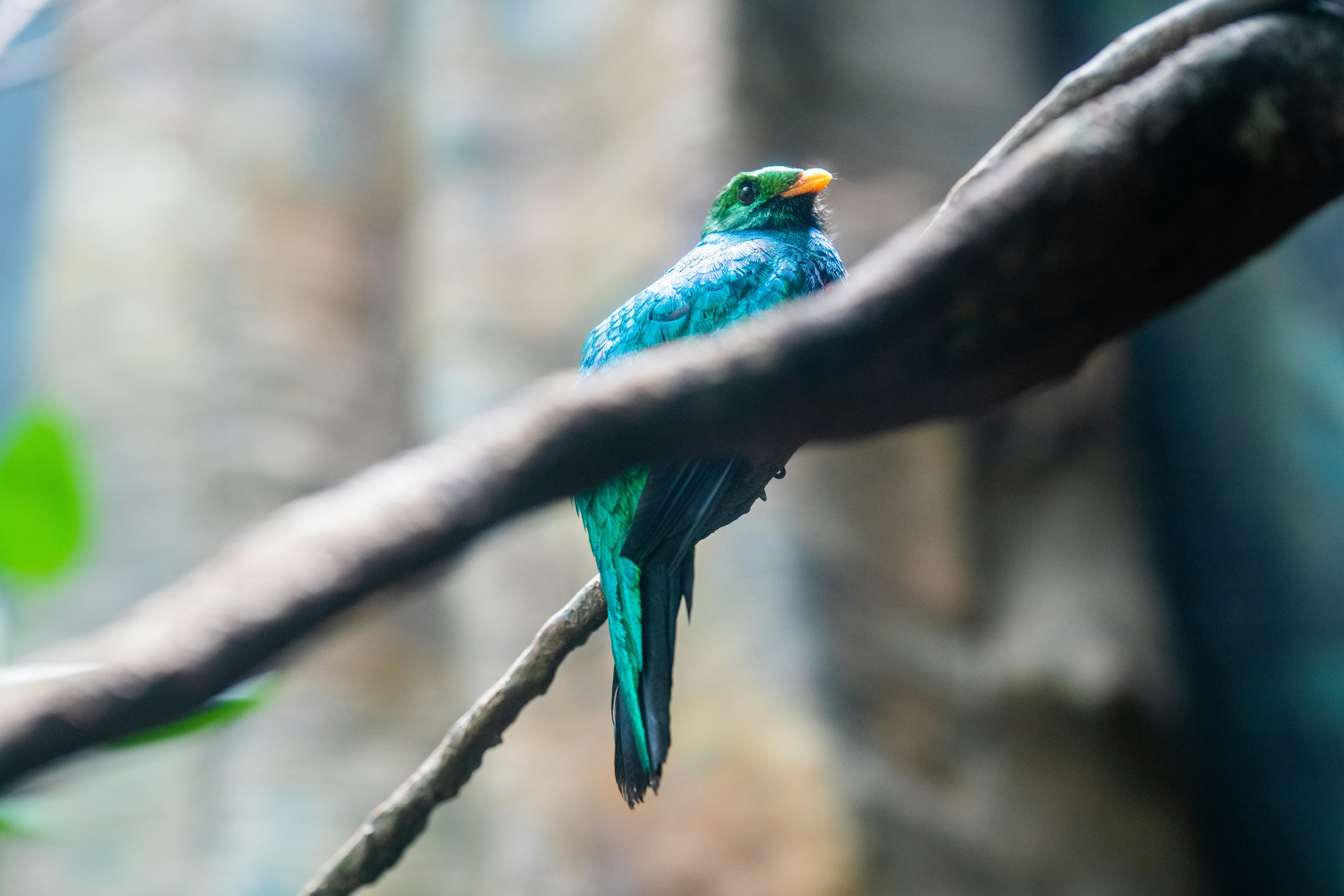 Photo by braedon_photography