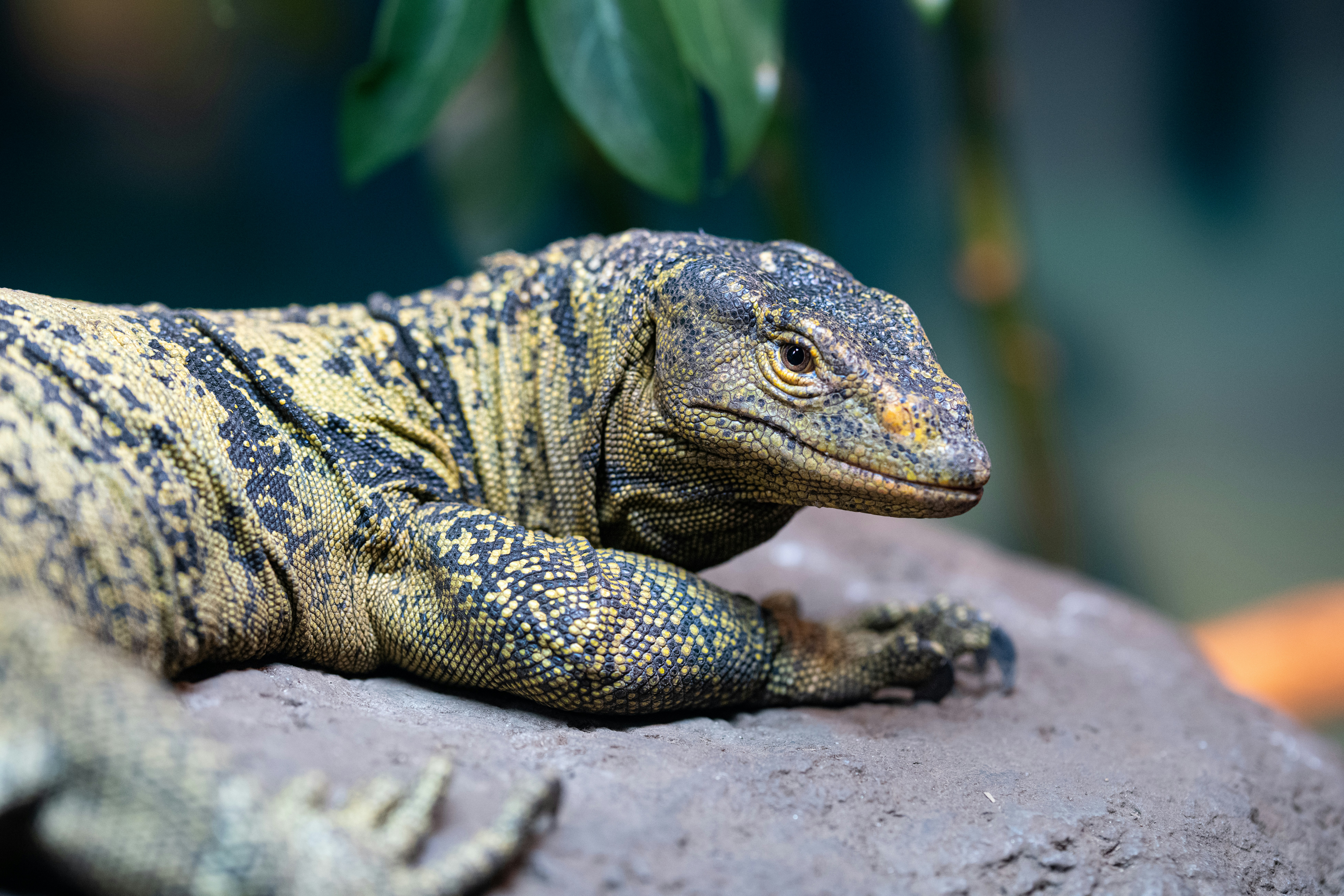 Photo by braedon_photography