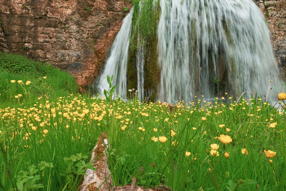 a large waterfall is in the middle of a field of flowers