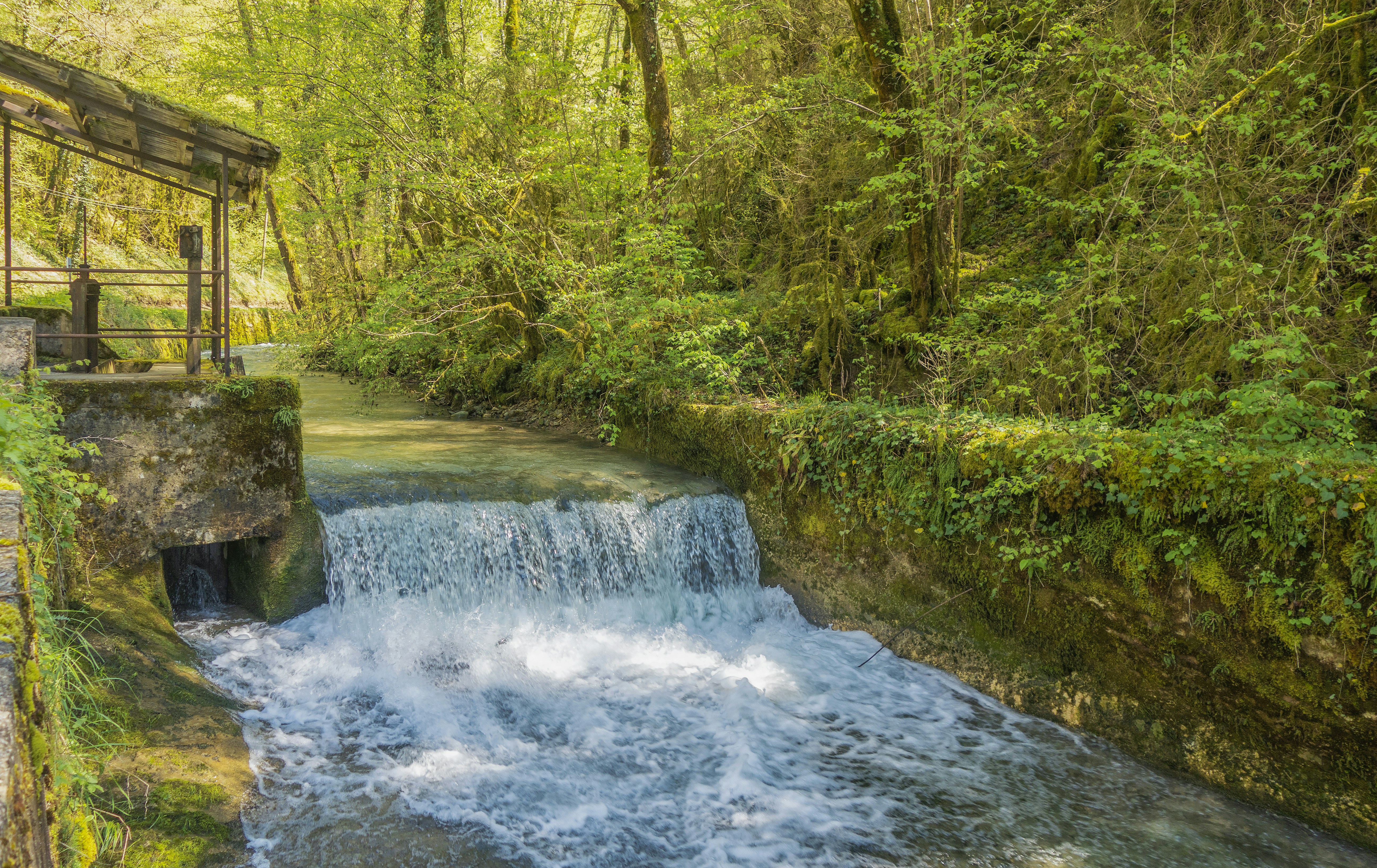 Petits cours d'eau de l'Ain en Auvergne-Rhône-Alpes.