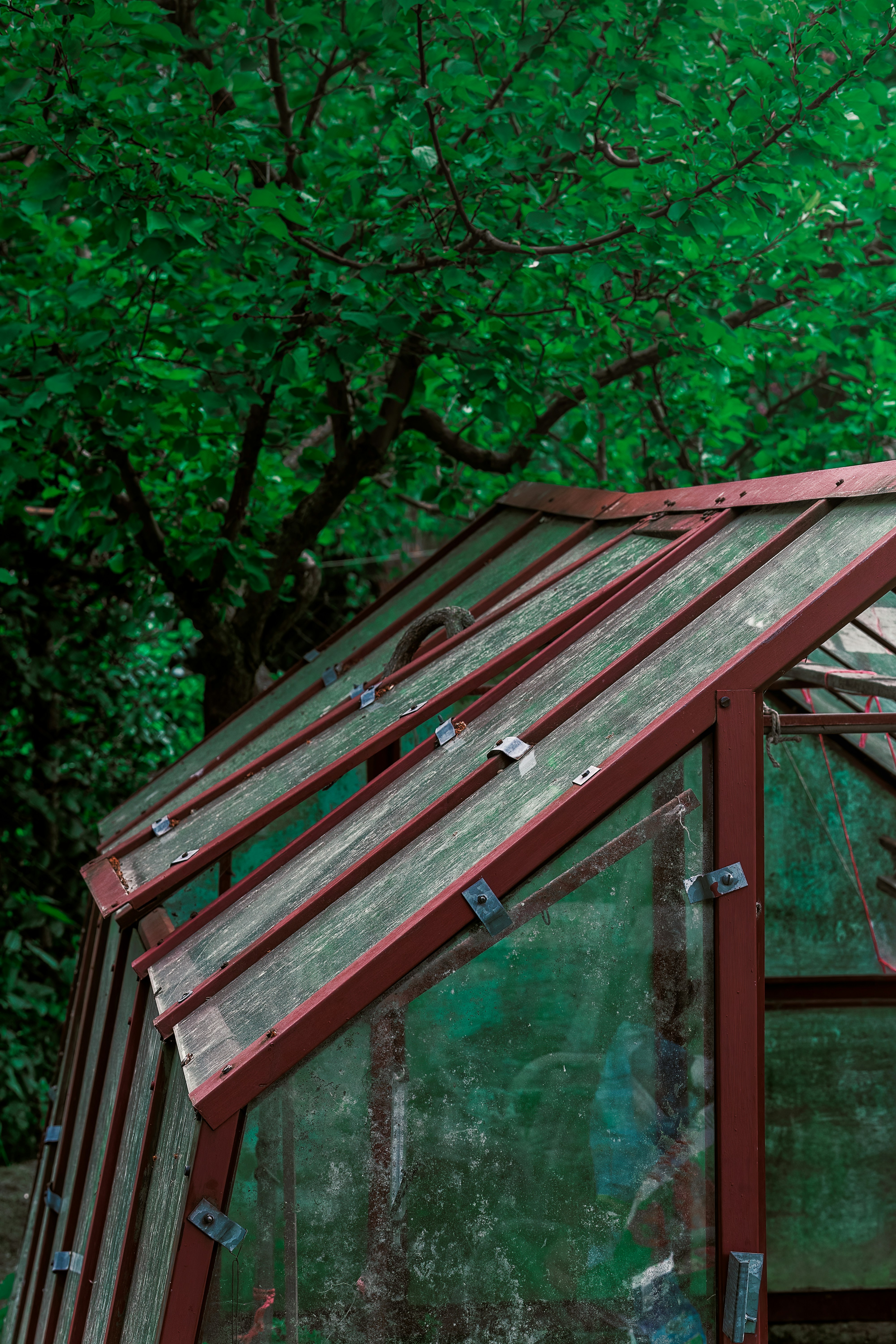 a bird perched on top of a roof of a building