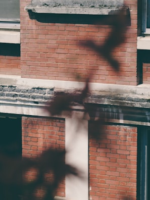 Close-up of a pressure washer removing dirt from a brick building exterior.