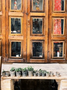 A rustic wooden door with multiple glass panes reflects various interior items, including colorful decorations and a red patterned fabric. In front of the door, a wooden shelf holds several small potted plants in a row, adding a touch of greenery.