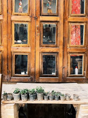 A rustic wooden door with multiple glass panes reflects various interior items, including colorful decorations and a red patterned fabric. In front of the door, a wooden shelf holds several small potted plants in a row, adding a touch of greenery.