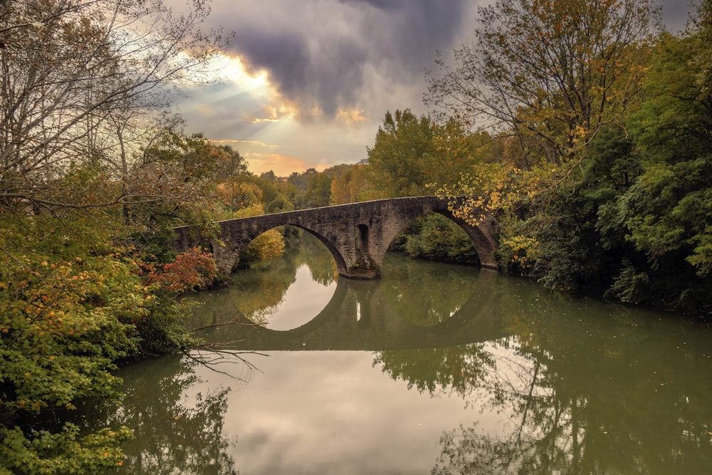 a stone bridge over a river surrounded by trees