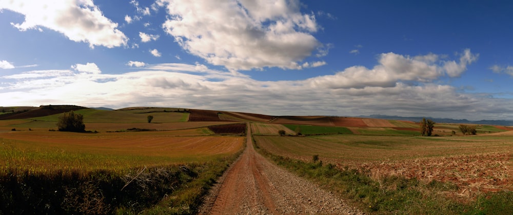 a dirt road running through a lush green field