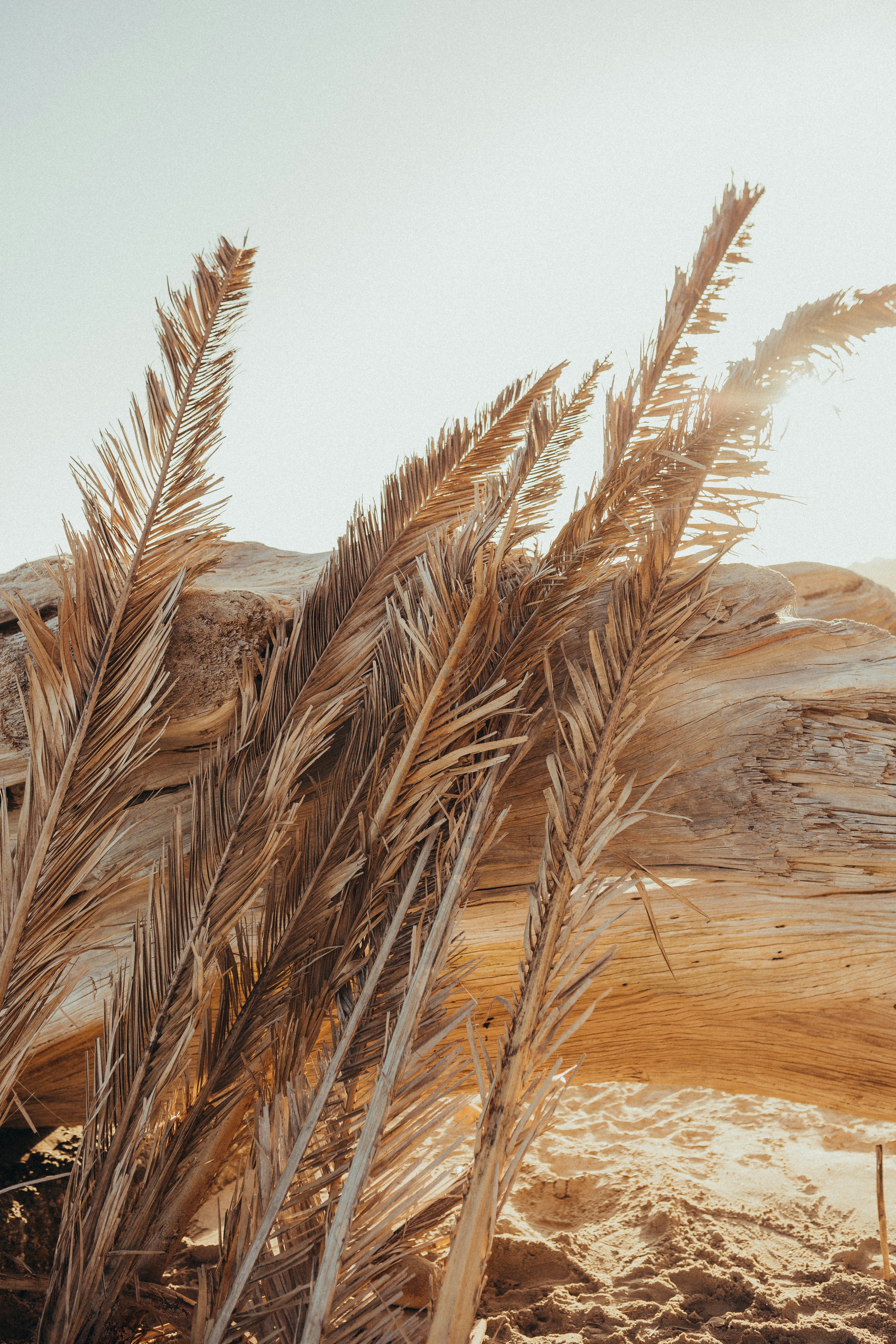 Photo by shandi_nicole_creative