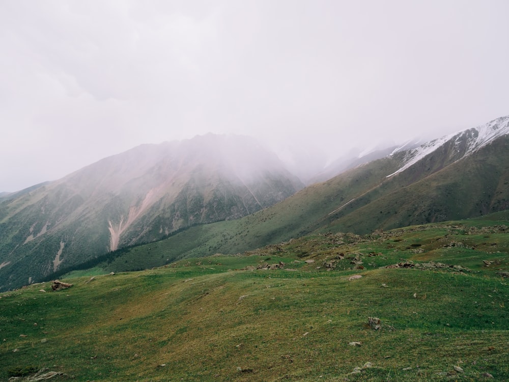 a grassy field with mountains in the background