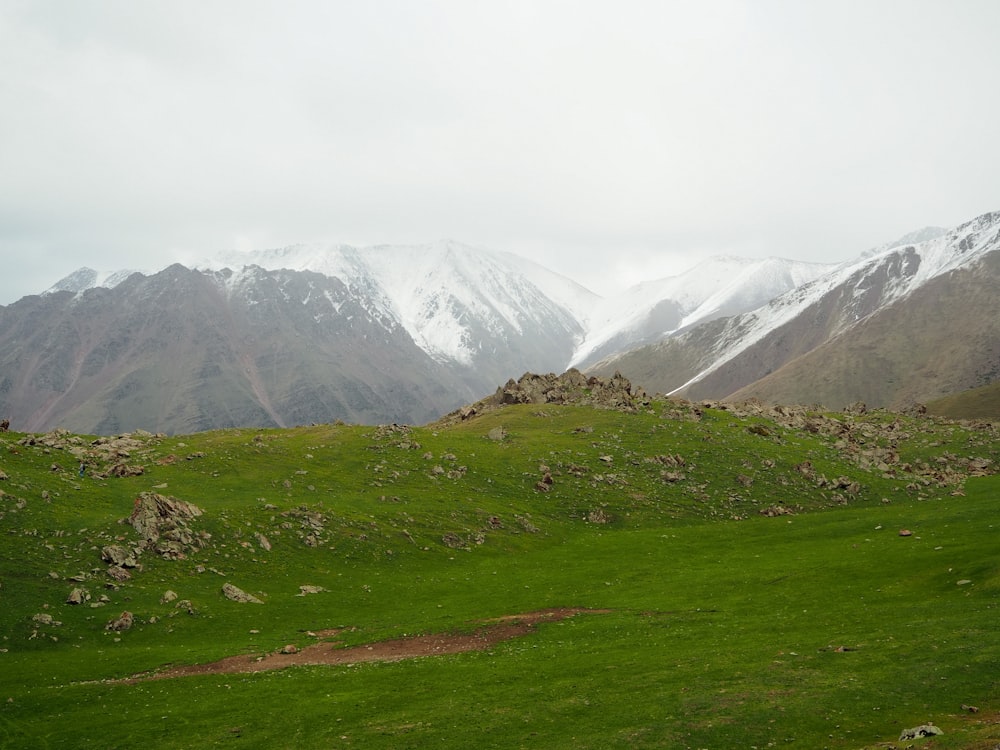 a grassy field with mountains in the background