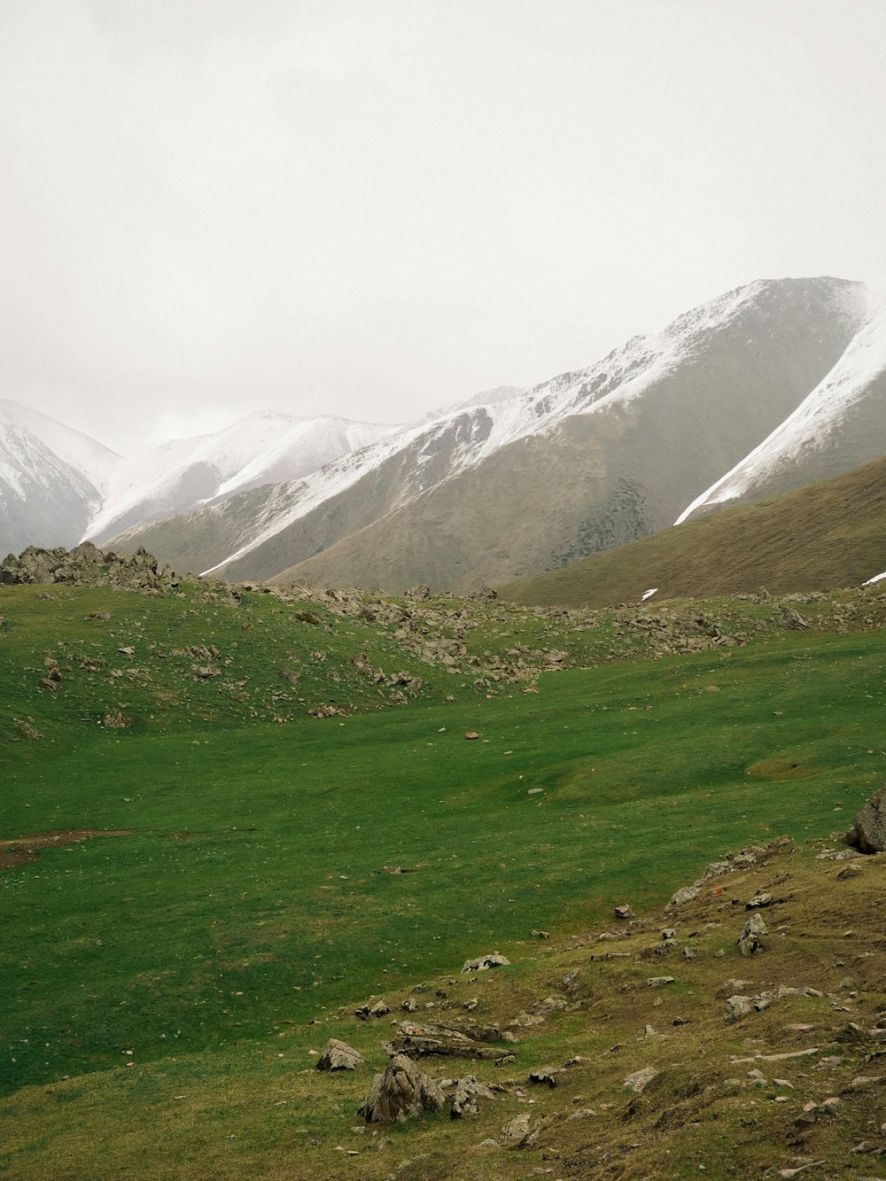 a grassy field with mountains in the background