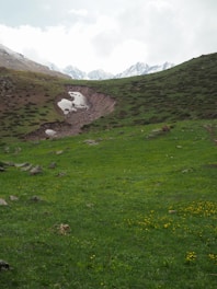 A lush green hillside slopes gently with scattered rocks and patches of yellow flowers in the foreground. A muddy groove in the center, filled with remnants of snow, leads up toward the distant snow-capped mountains under a cloudy sky.