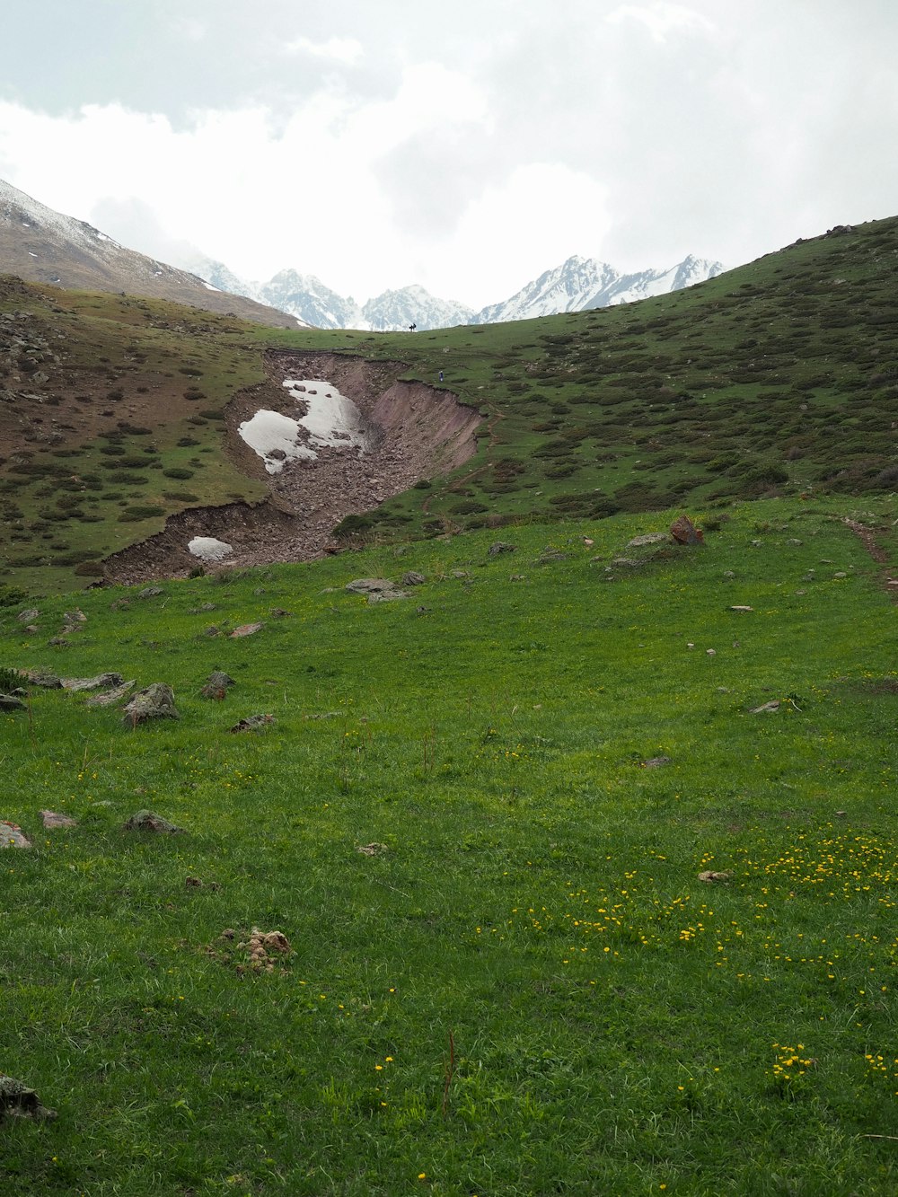 a grassy field with a mountain in the background