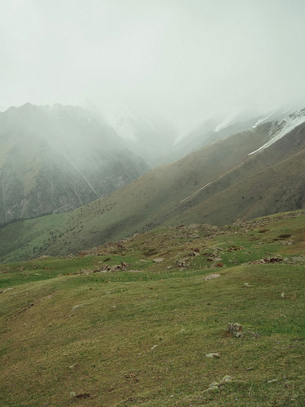 a couple of sheep standing on top of a lush green hillside